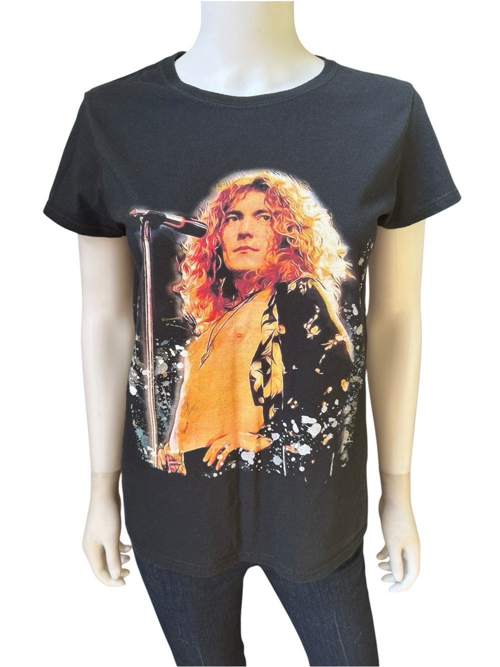 Led Zeppelin Robert Plant Graphic Tee, M